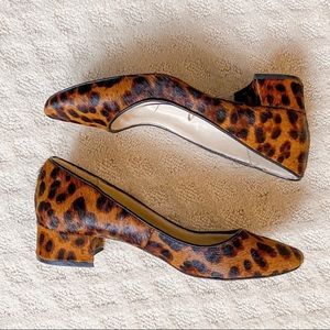 Zara Cheetah Print Calf Hair Block Heel